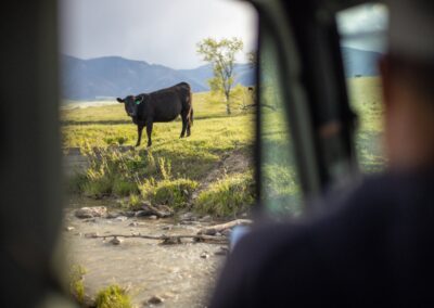 icon global cato ranch web 45