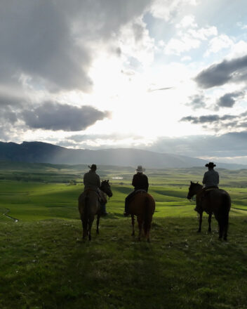 late afternoon on cato ranch