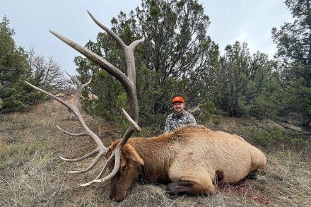 wild horse creek ranch elk