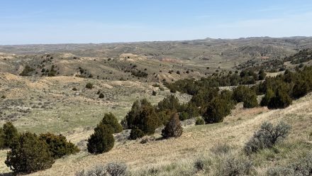 wild horse creek ranch landscape