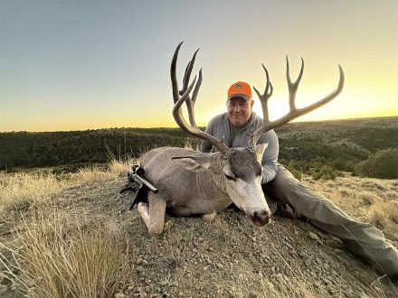 wild horse creek ranch mule deer(1)