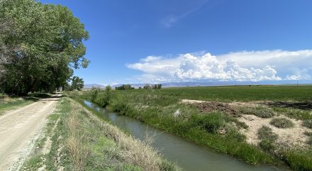 Boysen Reservoir farmland with alfalfa, irrigation ditch, and road